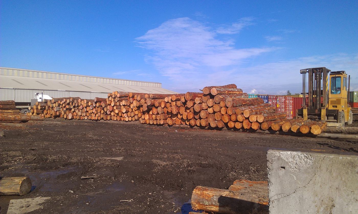 Long rows of stacked logs in the yard with a log loader alongside