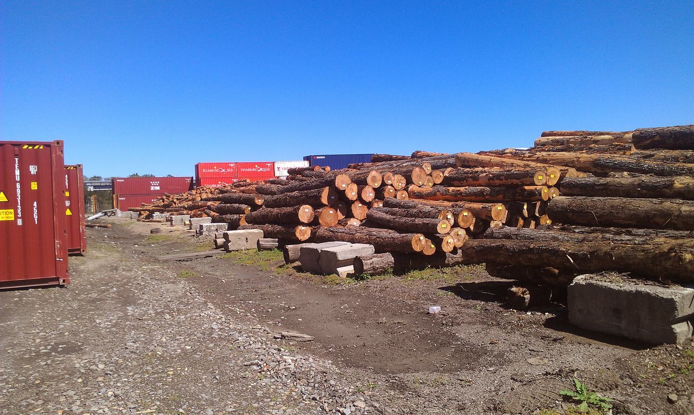 Log stacks beside shipping containers under a clear blue sky