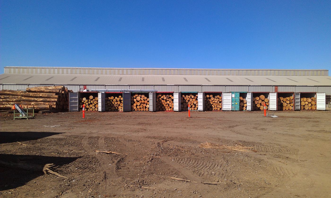 A row of shipping containers packed with logs in front of a large shed