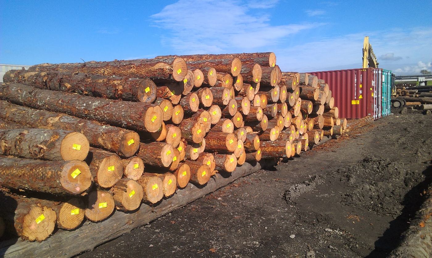 A stack of pine logs, each end marked with a yellow grading tag